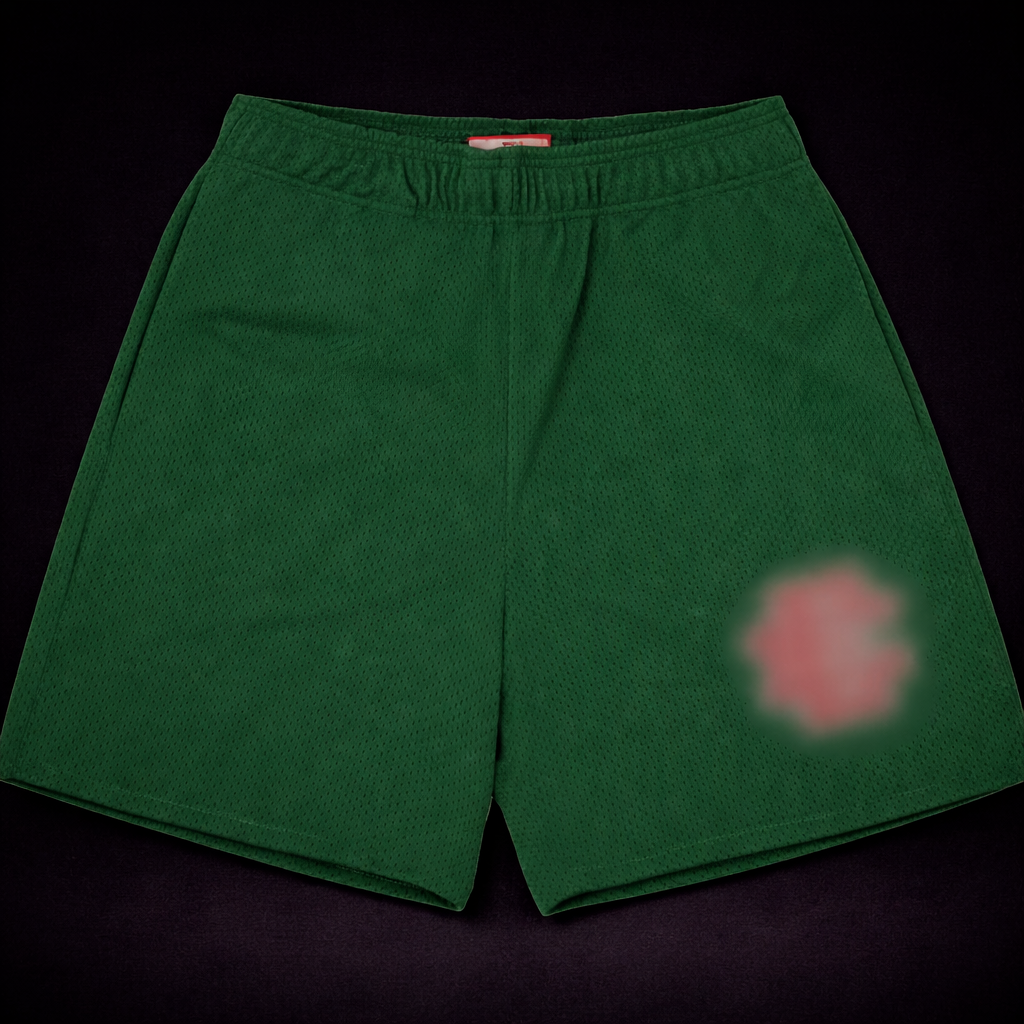 ER1C EMMANU3L SHORTS
