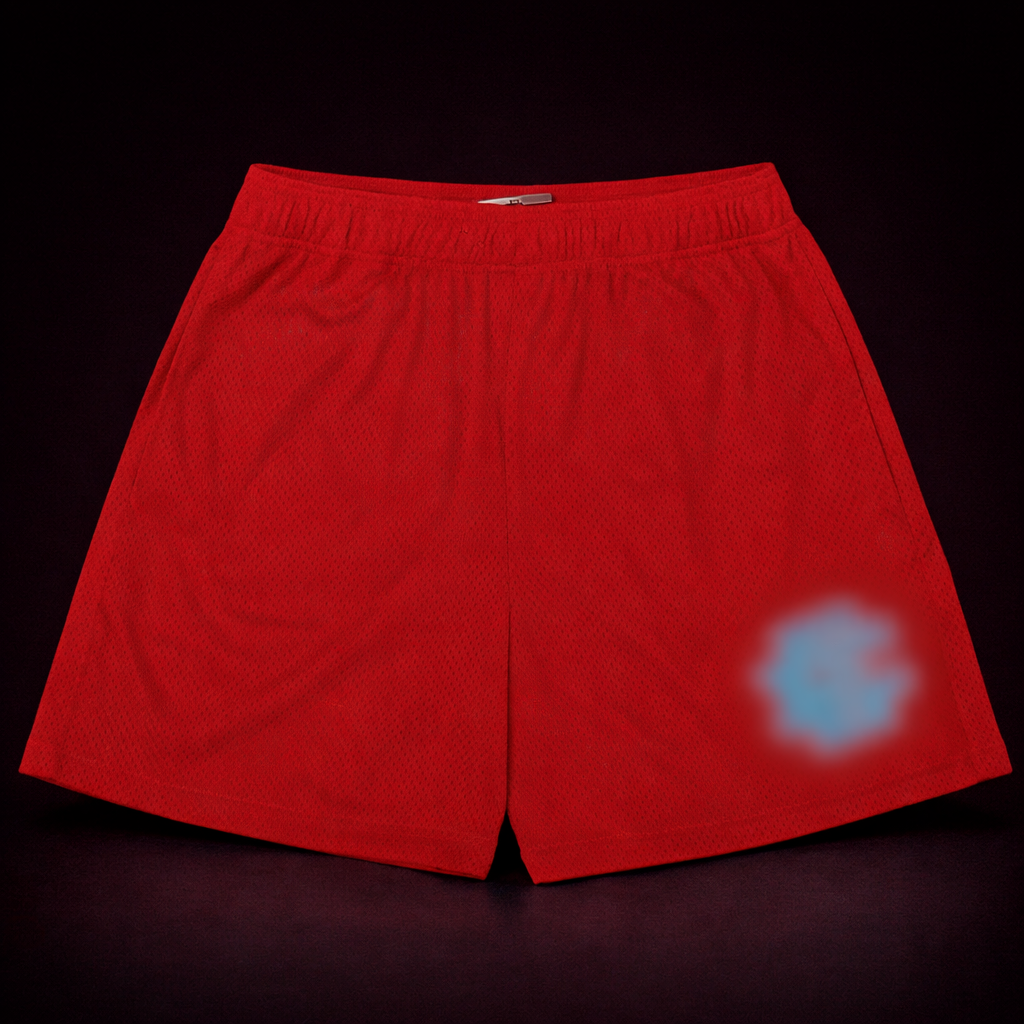 ER1C EMMANU3L SHORTS
